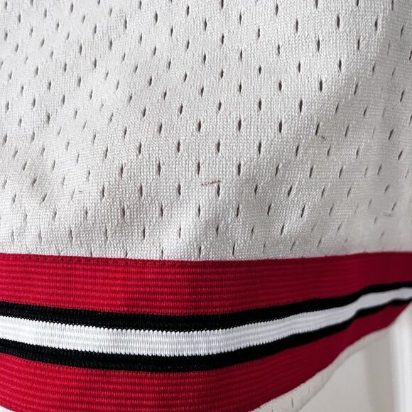 Mitchell & Ness Hardwood Classics Shorts Chicago Bulls NBA Finals 1998 SZ Small - Picture 16 of 16